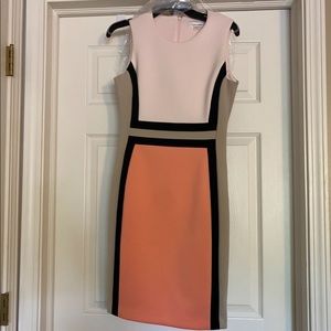 Calvin Klein Neutral Tones Dress